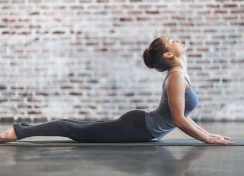 Program Latihan Fitness 2026: Panduan Lengkap Membangun Tubuh Kuat, Sehat, dan Berenergi